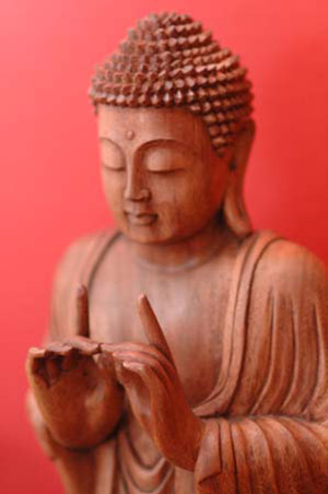 Traditionelle Chinesische Medizin